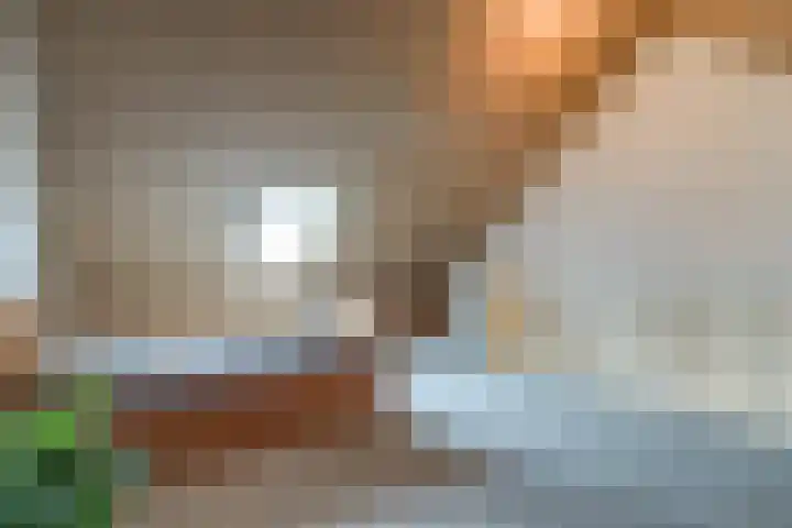Ansjoviskade 64 Kolhorn thumbnail 34
