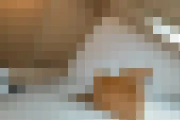 Ansjoviskade 64 Kolhorn thumbnail 35