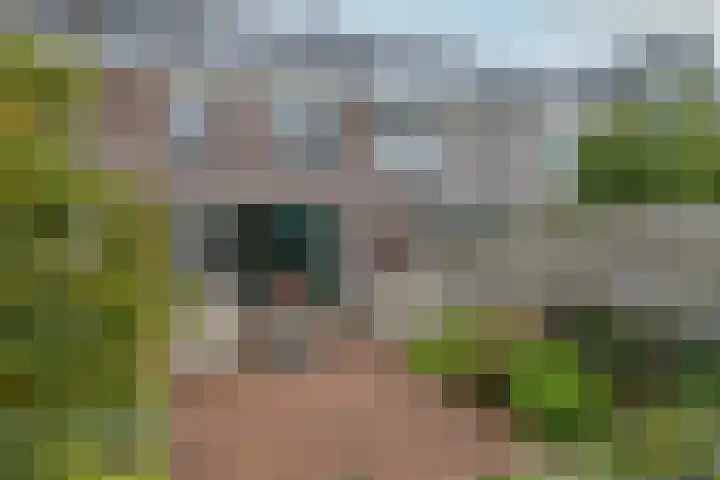 Ansjoviskade 64 Kolhorn thumbnail 37