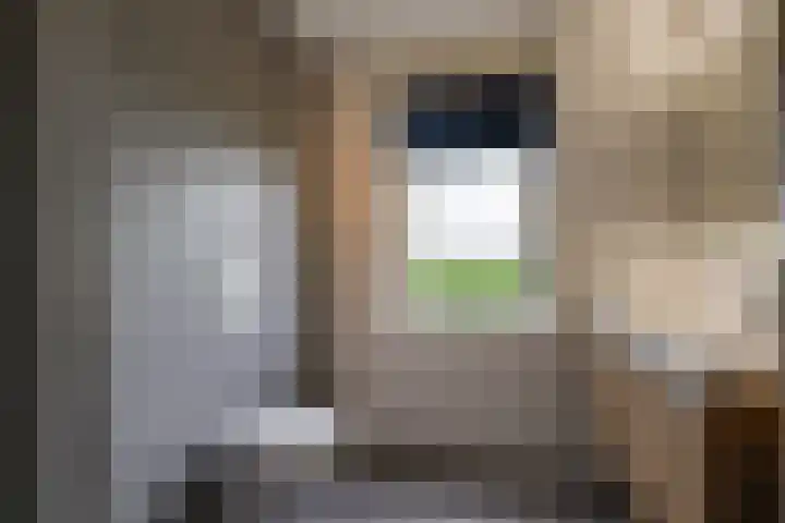 Ansjoviskade 64 Kolhorn thumbnail 4
