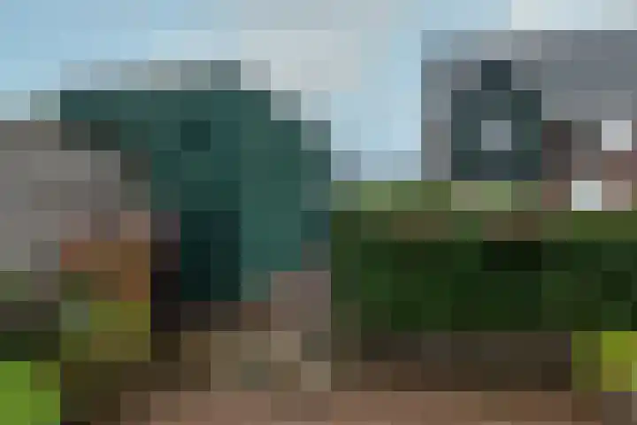 Ansjoviskade 64 Kolhorn thumbnail 41