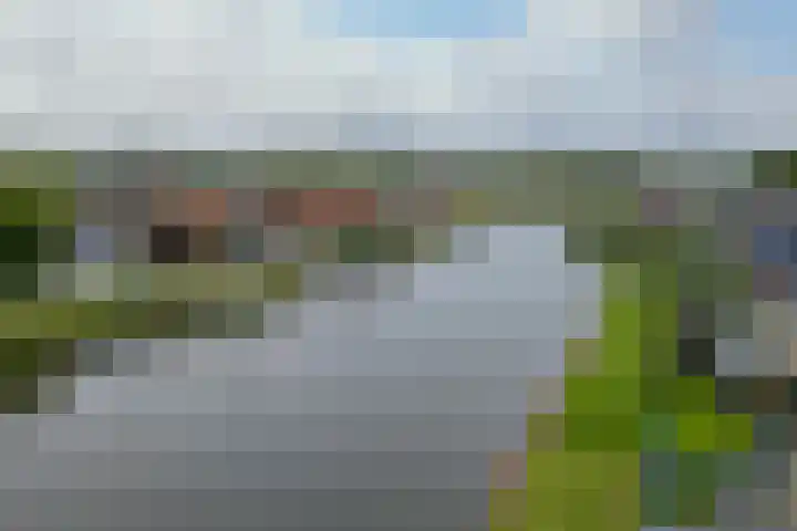 Ansjoviskade 64 Kolhorn thumbnail 46