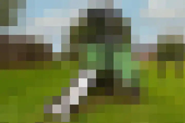 Ansjoviskade 64 Kolhorn thumbnail 47