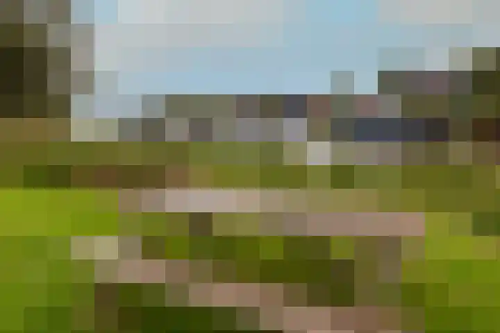 Ansjoviskade 64 Kolhorn thumbnail 48