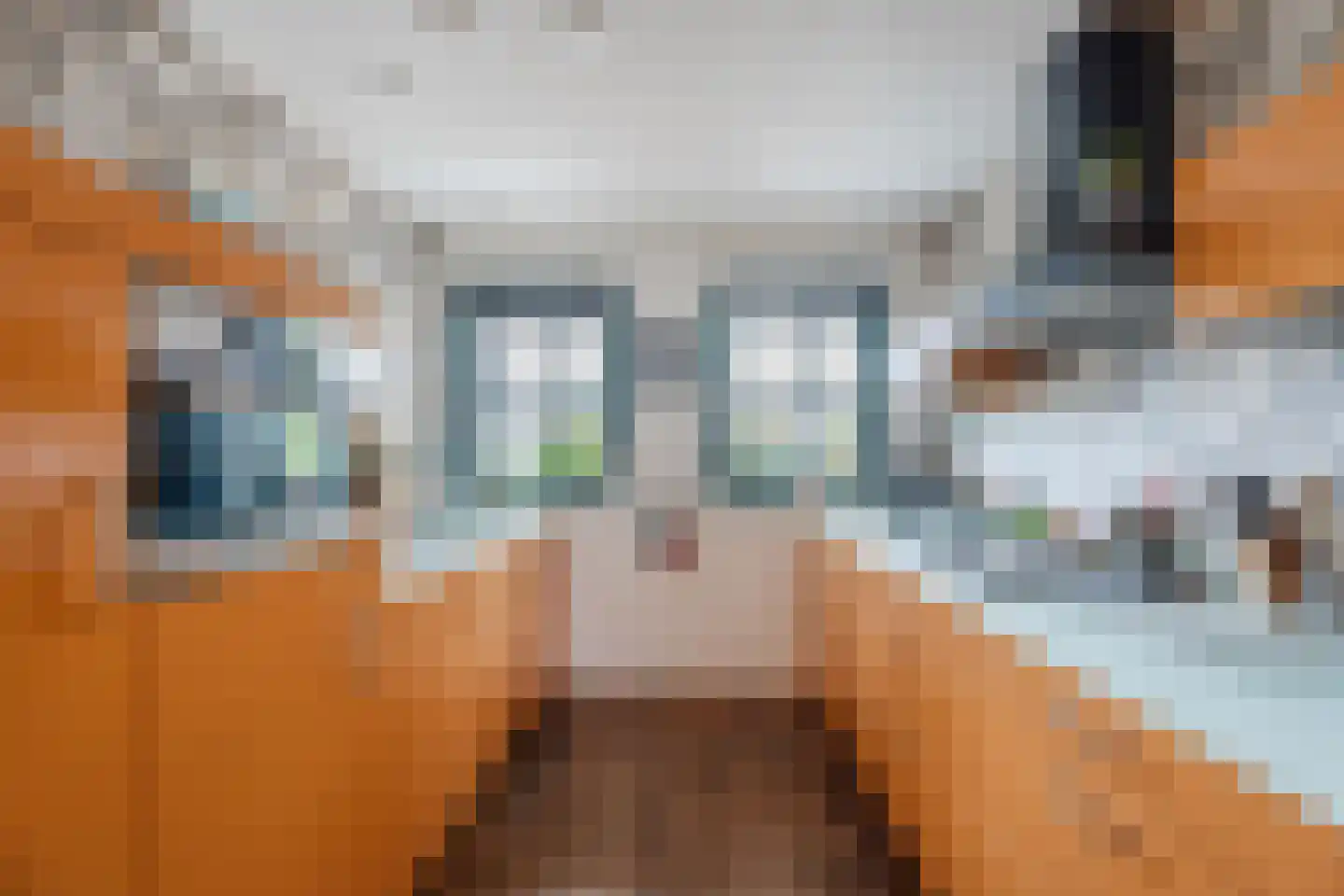 Ansjoviskade 9 Kolhorn thumbnail 20