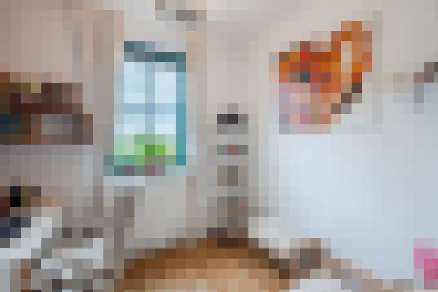 Ansjoviskade 9 Kolhorn thumbnail 32