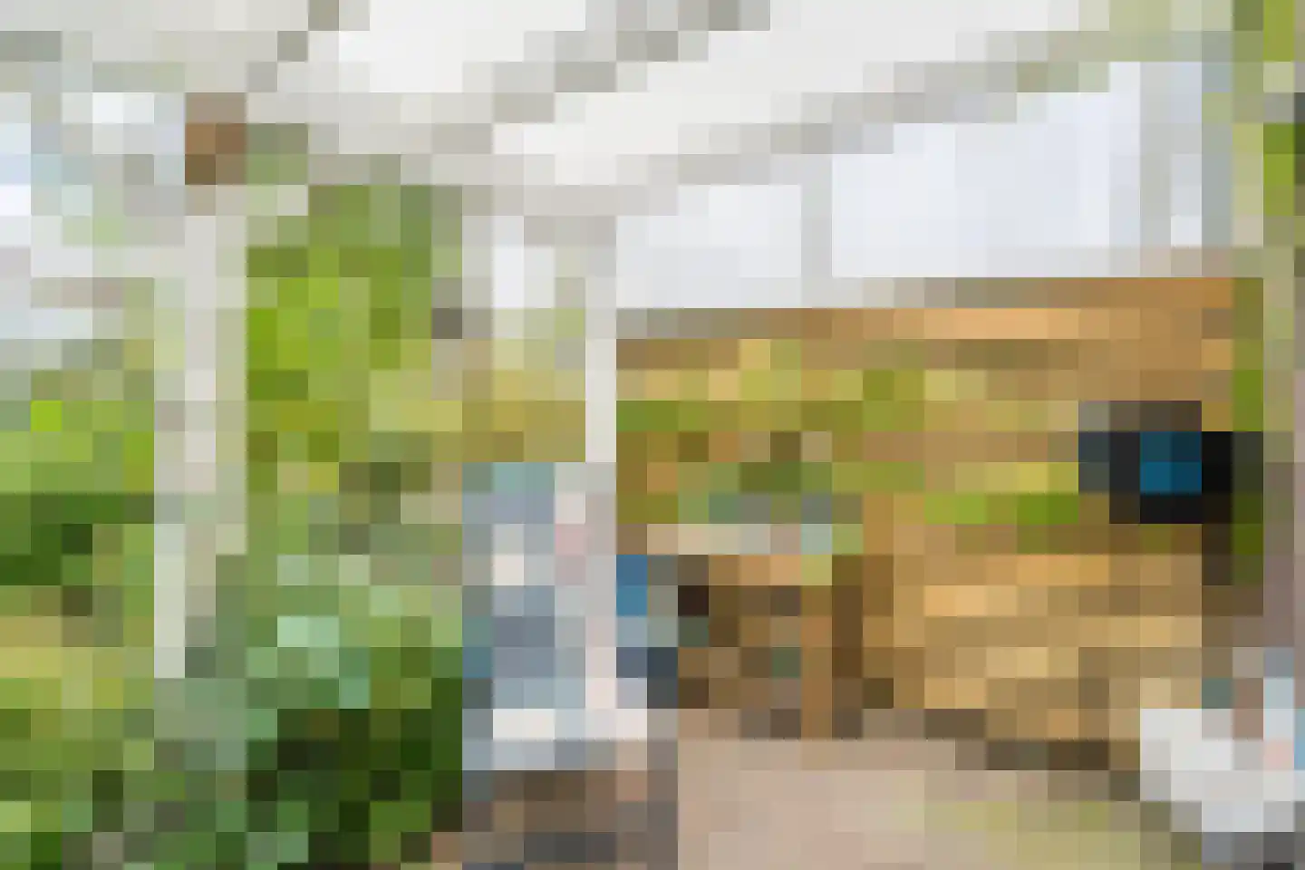 Ansjoviskade 9 Kolhorn thumbnail 51