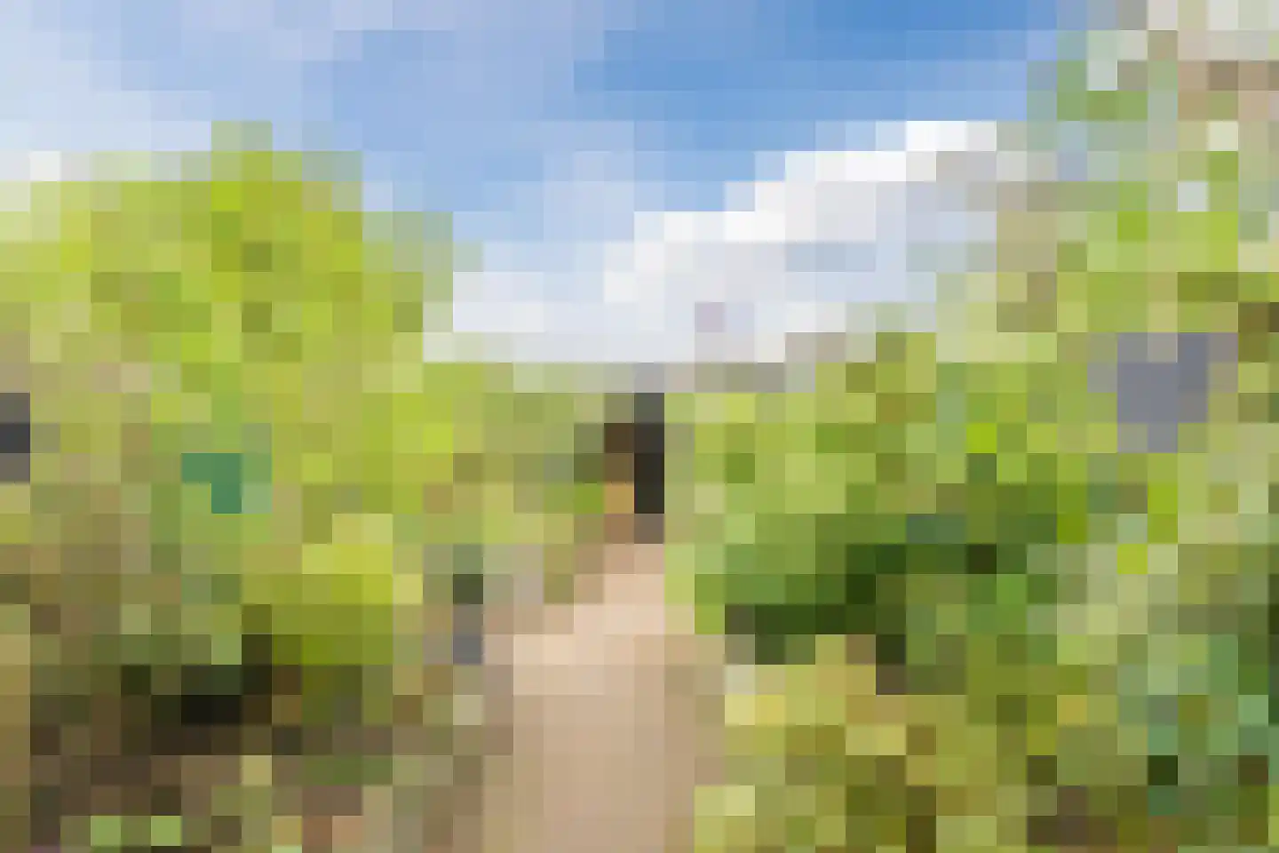 Ansjoviskade 9 Kolhorn thumbnail 52