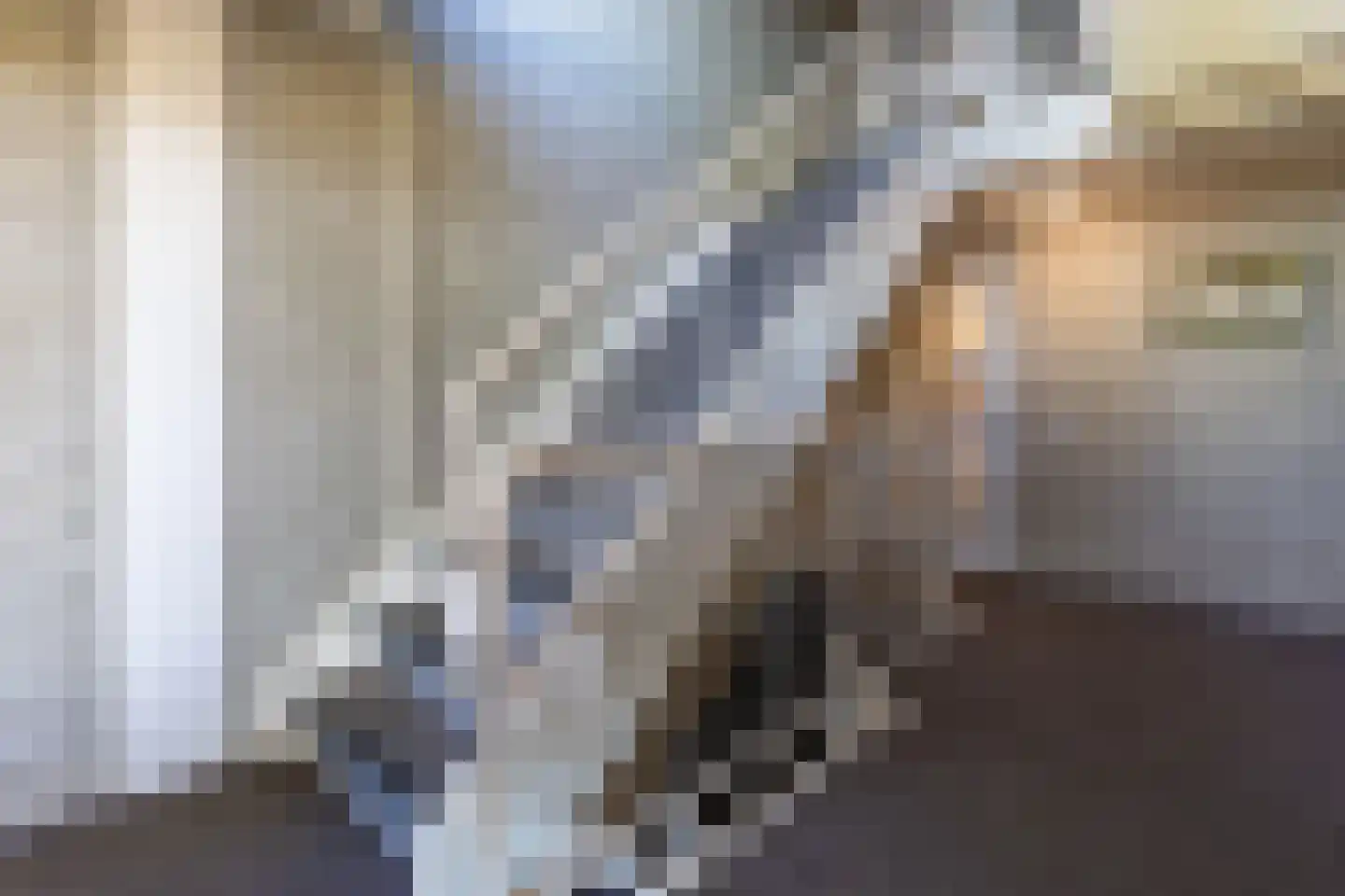 Ansjovislaan 13 Bergen op Zoom thumbnail 30
