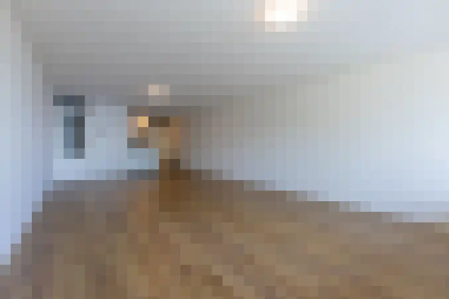 Ansjovislaan 13 Bergen op Zoom thumbnail 4