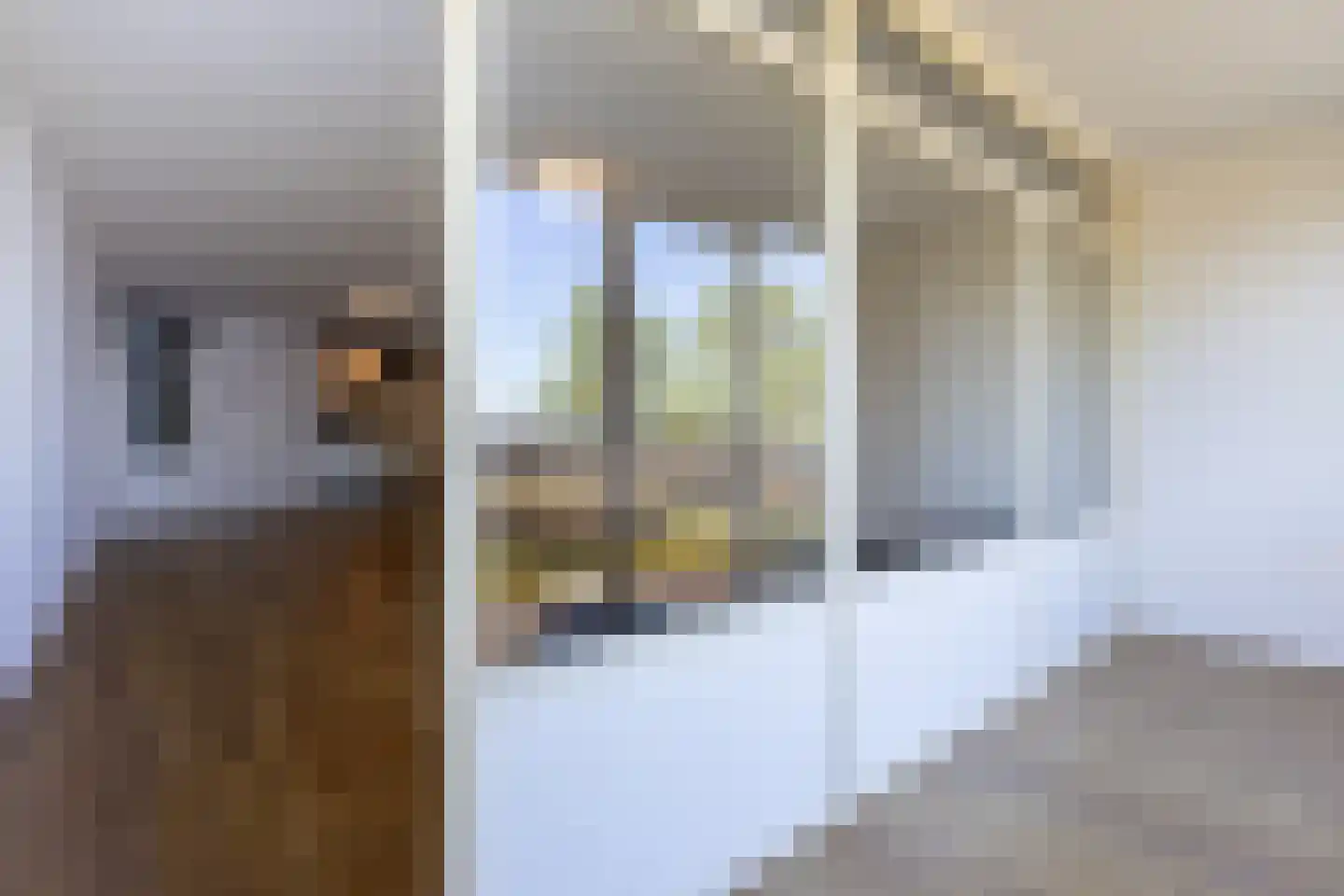 Ansjovislaan 13 Bergen op Zoom thumbnail 9