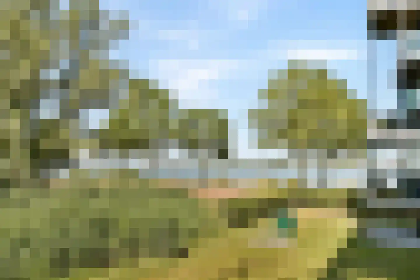 Ansjovislaan 218 Bergen op Zoom thumbnail 17