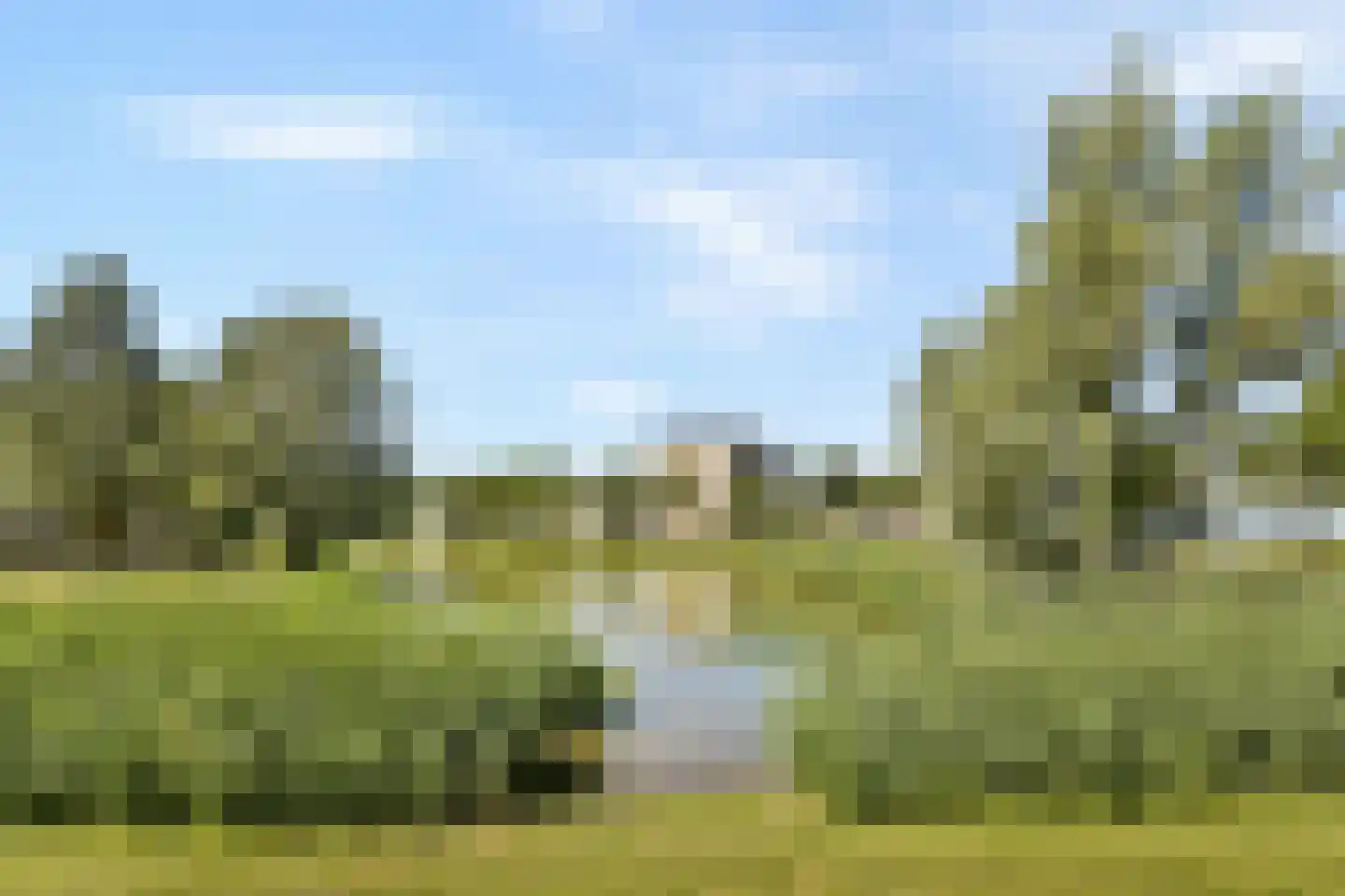 Ansjovislaan 218 Bergen op Zoom thumbnail 18
