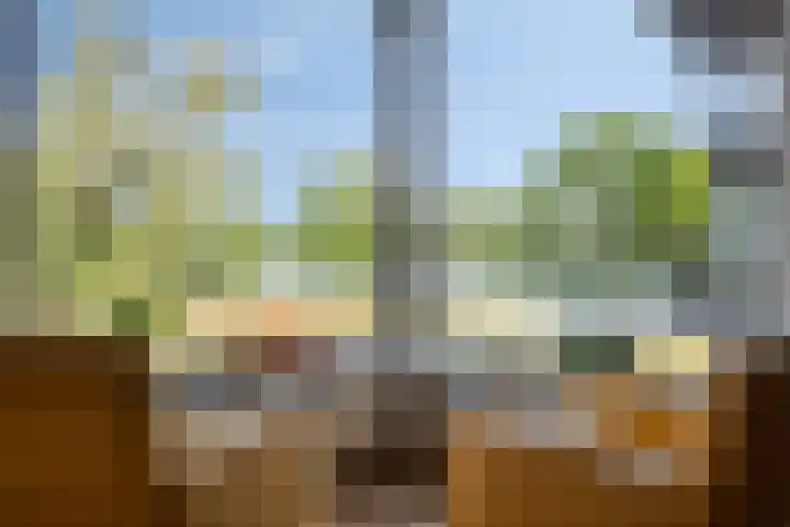 Ansjovislaan 221 Bergen op Zoom thumbnail 10
