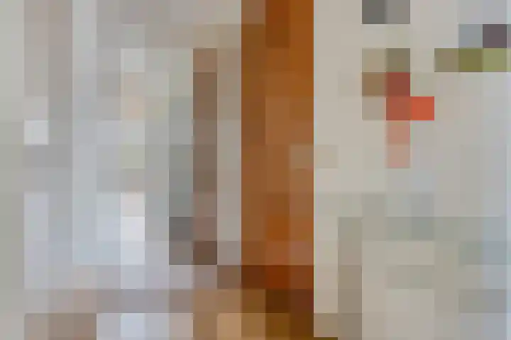 Ansjovislaan 221 Bergen op Zoom thumbnail 12