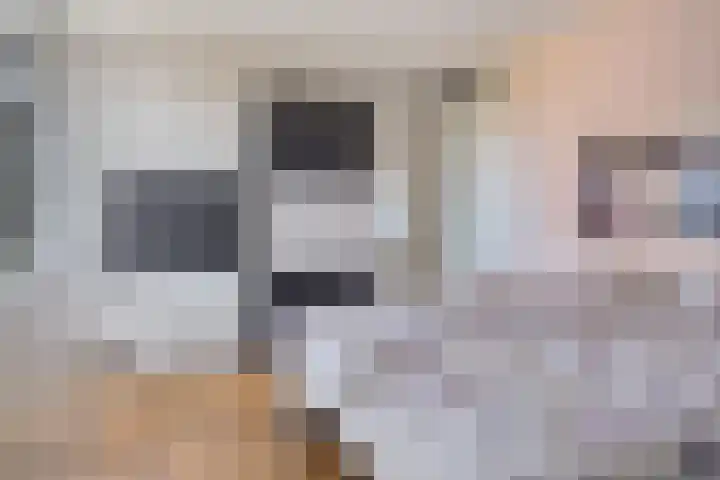 Ansjovislaan 221 Bergen op Zoom thumbnail 14