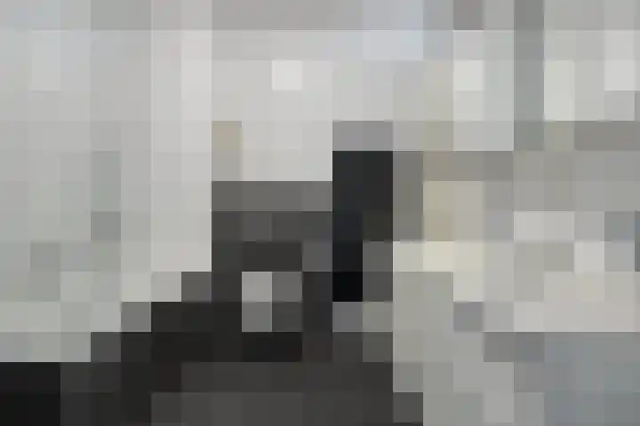 Ansjovislaan 221 Bergen op Zoom thumbnail 15