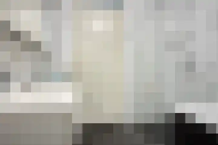 Ansjovislaan 221 Bergen op Zoom thumbnail 16