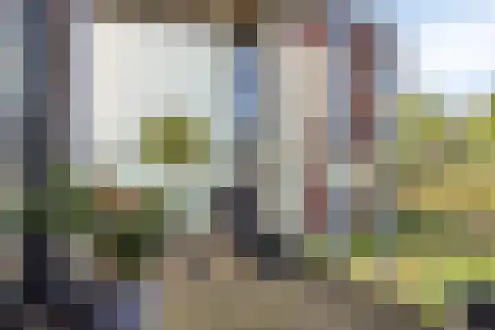 Ansjovislaan 221 Bergen op Zoom thumbnail 21