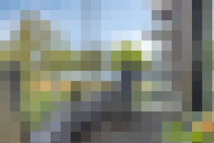 Ansjovislaan 221 Bergen op Zoom thumbnail 22