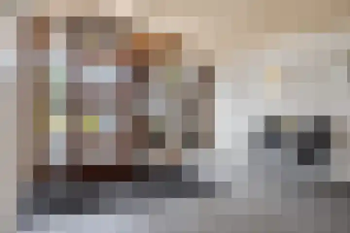 Ansjovislaan 221 Bergen op Zoom thumbnail 24
