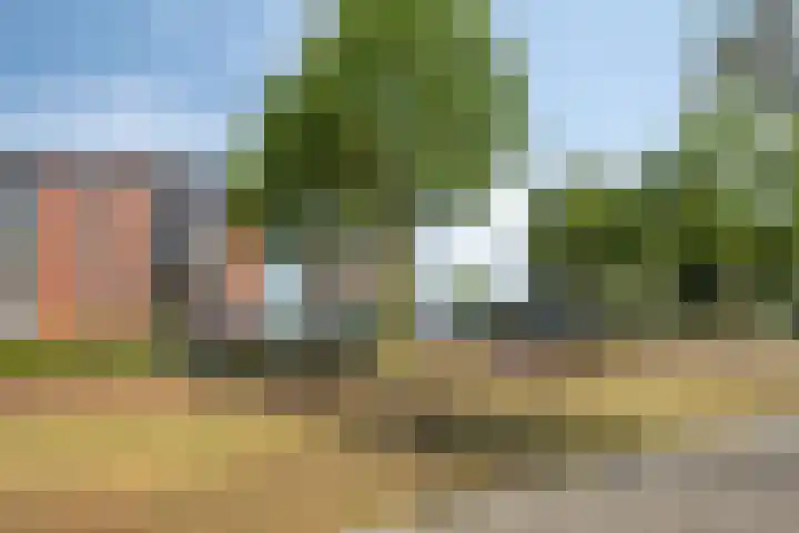 Ansjovislaan 221 Bergen op Zoom thumbnail 27