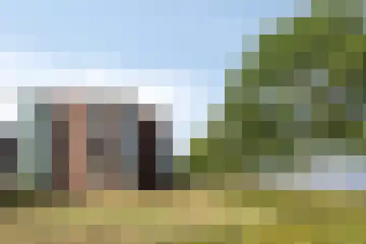 Ansjovislaan 221 Bergen op Zoom thumbnail 28