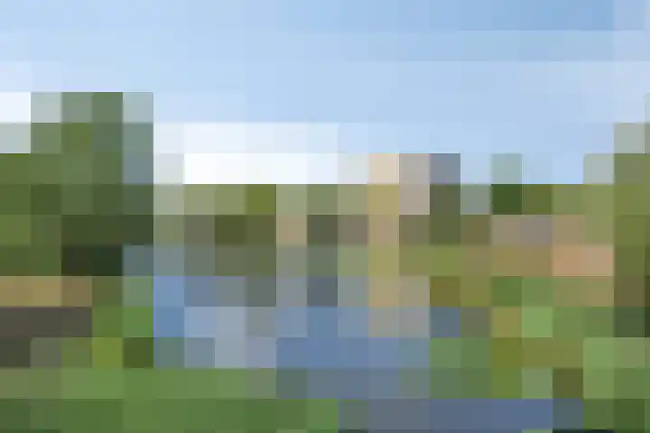 Ansjovislaan 221 Bergen op Zoom thumbnail 29