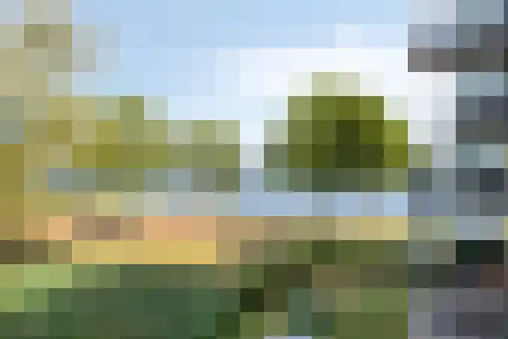 Ansjovislaan 221 Bergen op Zoom thumbnail 30