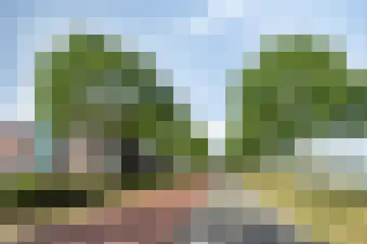 Ansjovislaan 221 Bergen op Zoom thumbnail 33