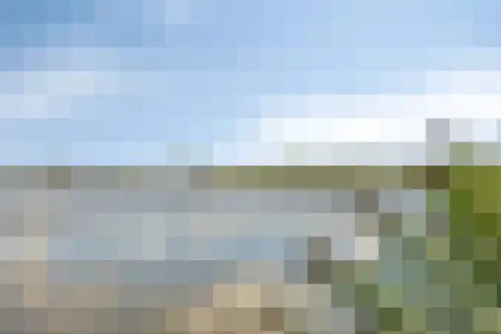 Ansjovislaan 221 Bergen op Zoom thumbnail 34