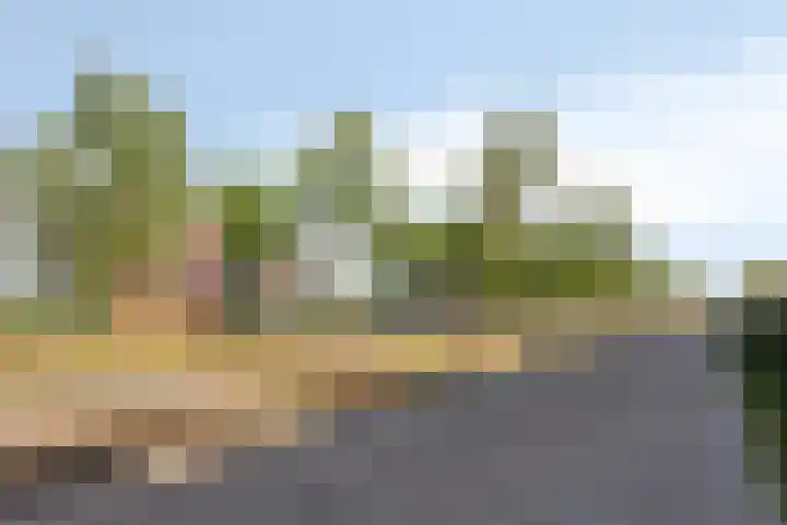 Ansjovislaan 221 Bergen op Zoom thumbnail 35