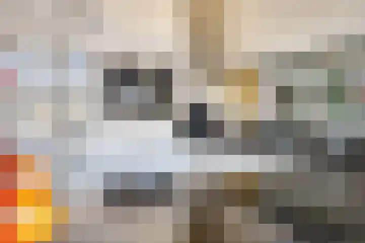 Ansjovislaan 221 Bergen op Zoom thumbnail 6