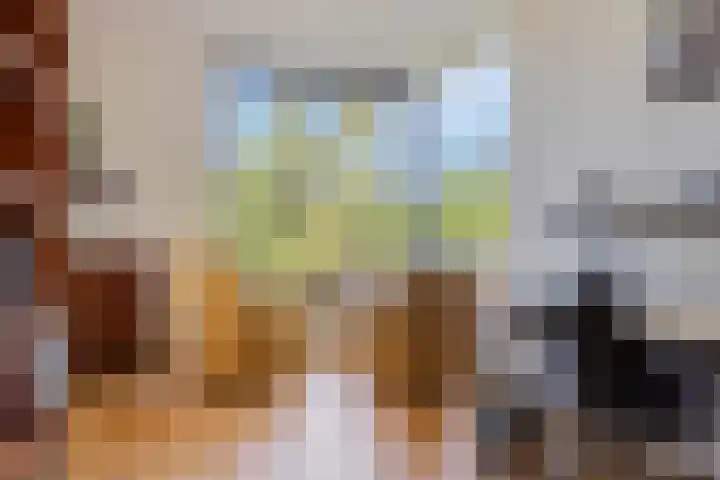 Ansjovislaan 221 Bergen op Zoom thumbnail 7