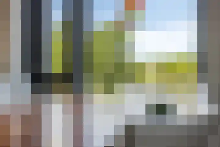 Ansjovislaan 221 Bergen op Zoom thumbnail 9