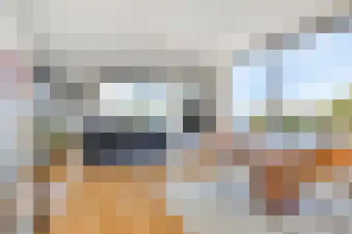 Ansjovislaan 226 Bergen op Zoom thumbnail 12