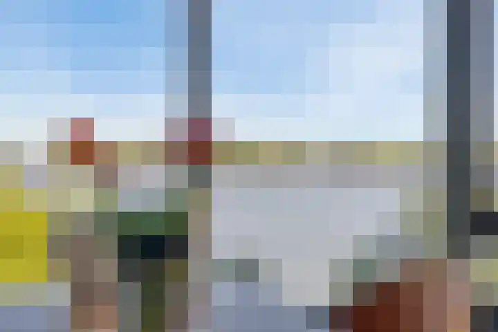 Ansjovislaan 226 Bergen op Zoom thumbnail 13