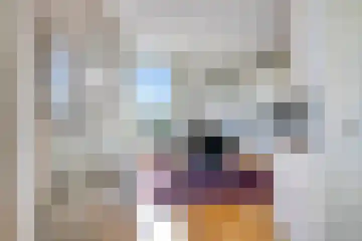 Ansjovislaan 226 Bergen op Zoom thumbnail 18