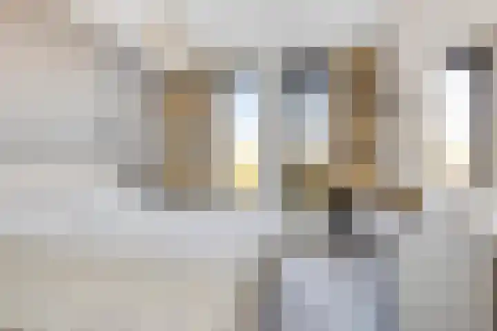 Ansjovislaan 226 Bergen op Zoom thumbnail 25