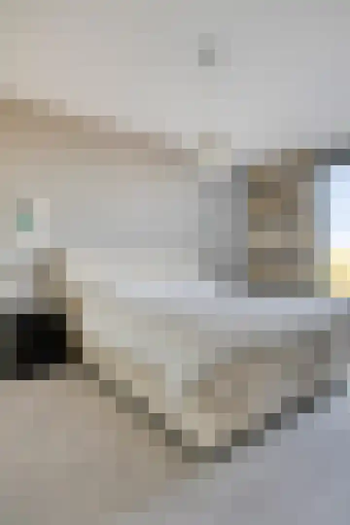 Ansjovislaan 226 Bergen op Zoom thumbnail 27