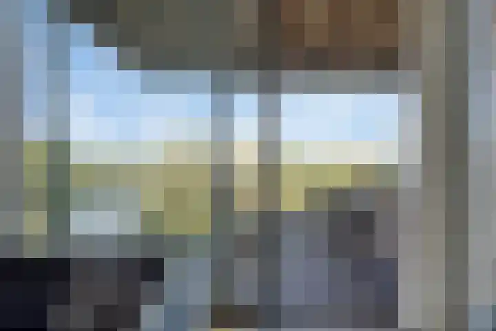 Ansjovislaan 226 Bergen op Zoom thumbnail 37