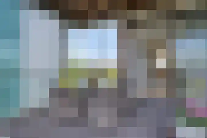Ansjovislaan 226 Bergen op Zoom thumbnail 39