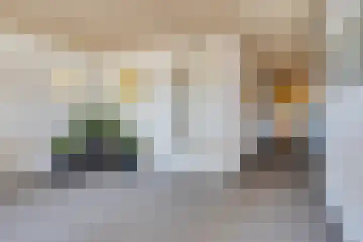 Ansjovislaan 226 Bergen op Zoom thumbnail 4
