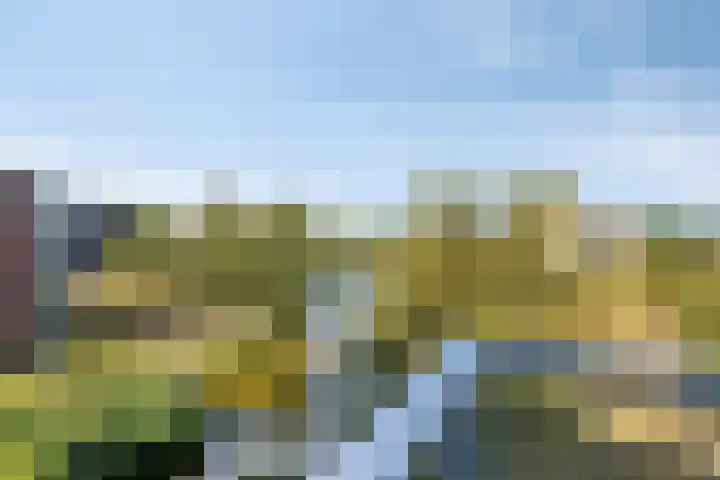 Ansjovislaan 226 Bergen op Zoom thumbnail 41