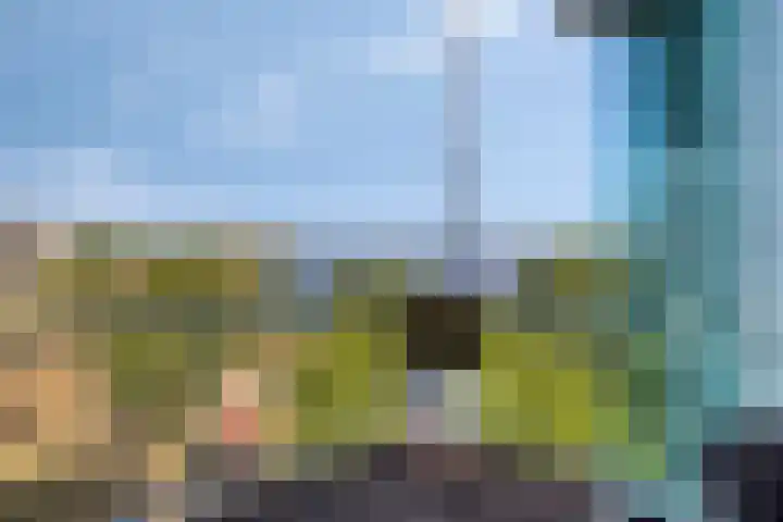 Ansjovislaan 226 Bergen op Zoom thumbnail 42