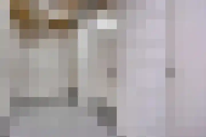 Ansjovislaan 226 Bergen op Zoom thumbnail 43