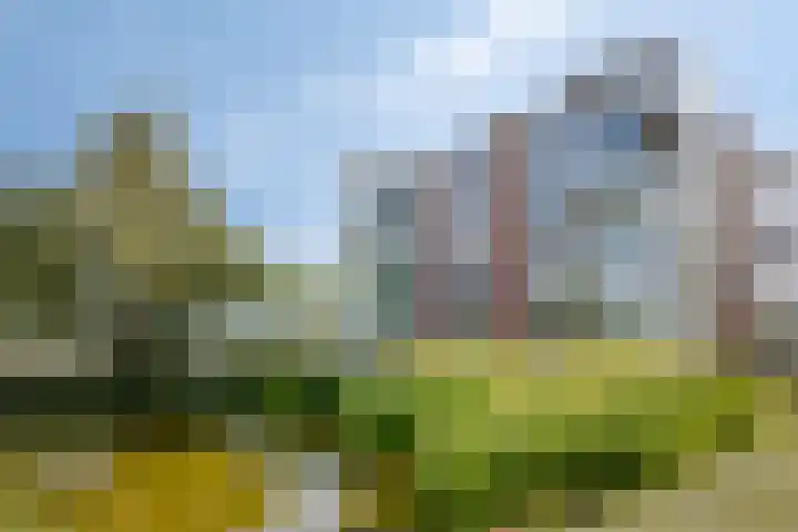 Ansjovislaan 226 Bergen op Zoom thumbnail 45