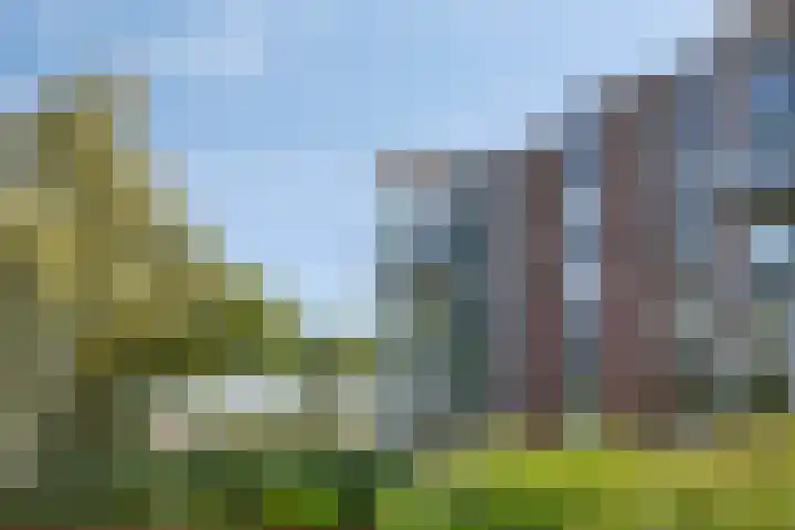 Ansjovislaan 226 Bergen op Zoom thumbnail 46