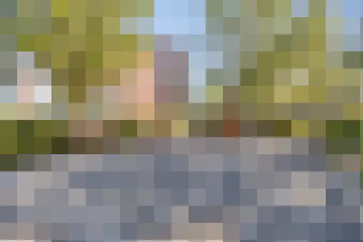 Ansjovislaan 226 Bergen op Zoom thumbnail 47
