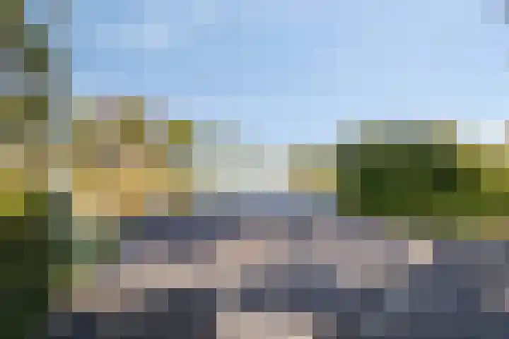 Ansjovislaan 226 Bergen op Zoom thumbnail 48